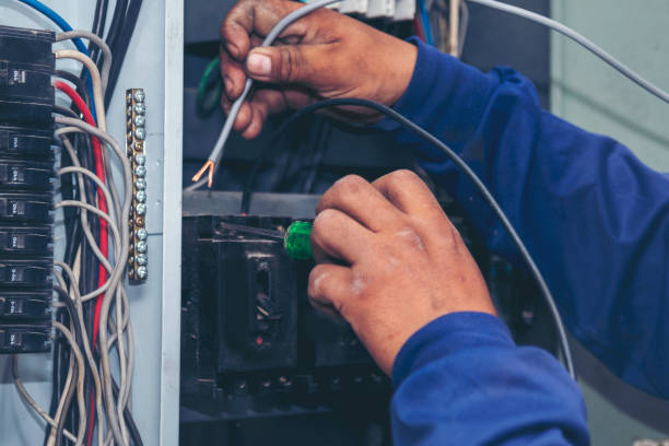Best Electric Panel Repair  in Silver Lake, NJ